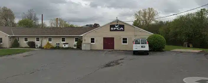 Asbestos discovery adds K hurdle to Auburn SPCA renovation
